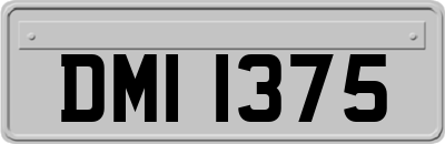 DMI1375