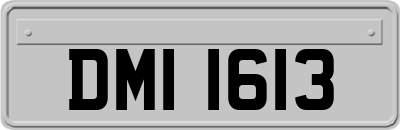 DMI1613