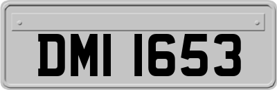 DMI1653