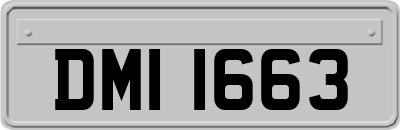 DMI1663