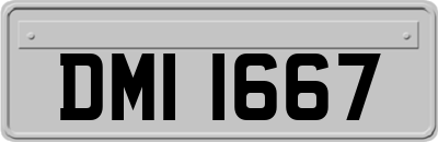 DMI1667
