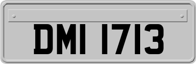 DMI1713