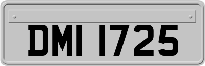 DMI1725