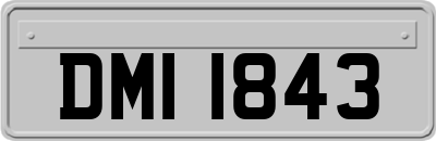 DMI1843