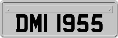 DMI1955