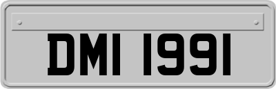 DMI1991