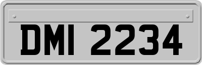 DMI2234
