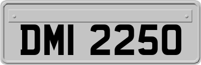 DMI2250