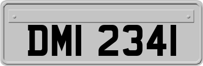 DMI2341