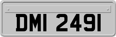 DMI2491