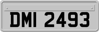 DMI2493