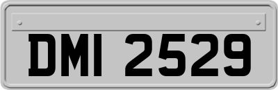 DMI2529
