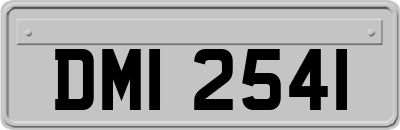 DMI2541