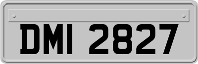DMI2827