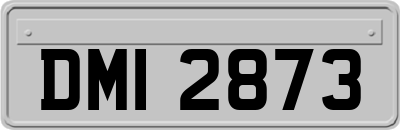 DMI2873