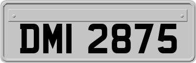 DMI2875