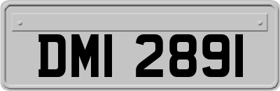 DMI2891