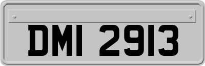 DMI2913