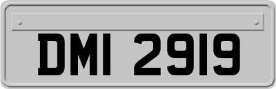 DMI2919