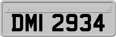 DMI2934
