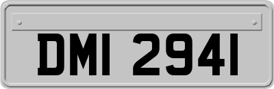 DMI2941