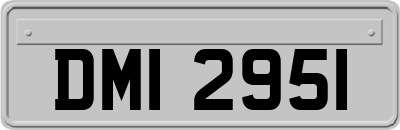 DMI2951