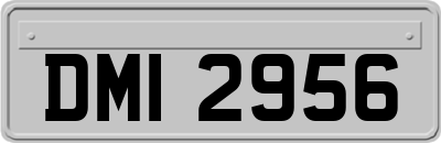 DMI2956