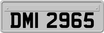 DMI2965