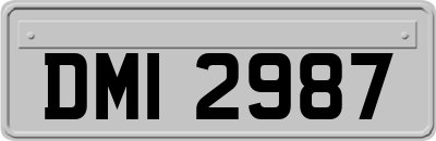 DMI2987