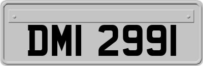DMI2991