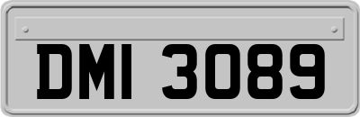 DMI3089