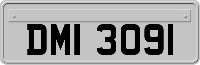 DMI3091