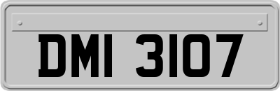 DMI3107