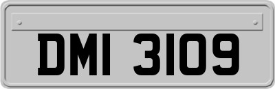 DMI3109