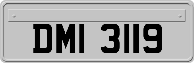 DMI3119