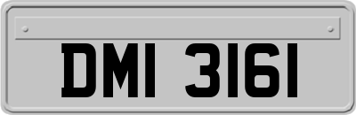 DMI3161