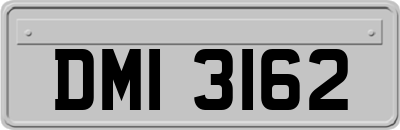 DMI3162