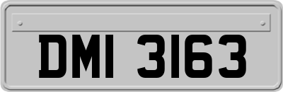 DMI3163
