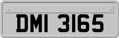 DMI3165