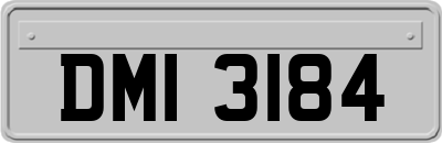 DMI3184