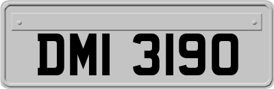 DMI3190