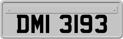DMI3193