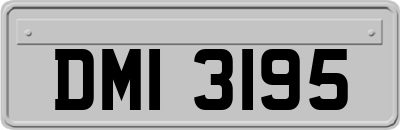 DMI3195