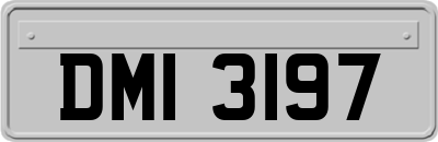 DMI3197