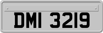DMI3219