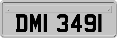 DMI3491
