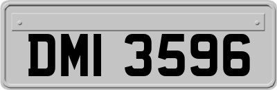 DMI3596