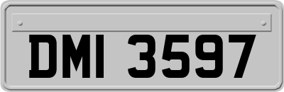 DMI3597