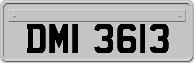 DMI3613