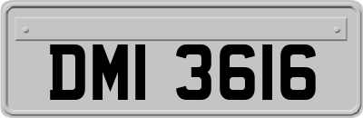 DMI3616